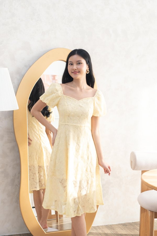 Asher Embroidery Lace Dress In Sunshine Yellow