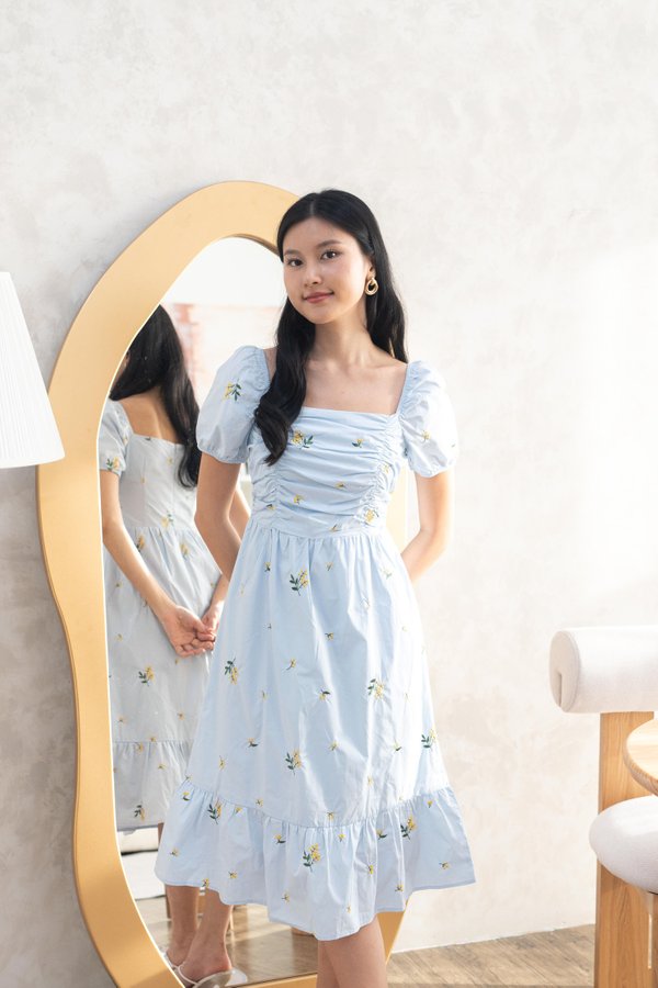 Clara Embroidery Floral Dress In Sky Blue