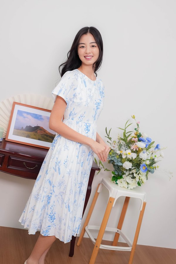 Arielle Pleated Sleeve Dress In Porcelain Prints