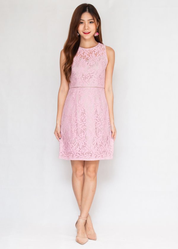 Rivera Lace Dress In Pink